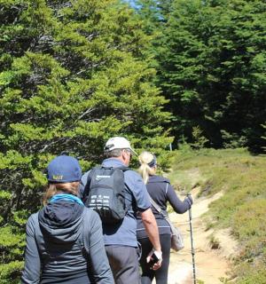 一群人沿着小路行走