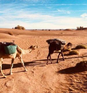 muž stojící v poušti se dvěma zvířaty