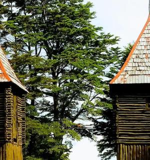 两座大型木结构建筑,背景为树木