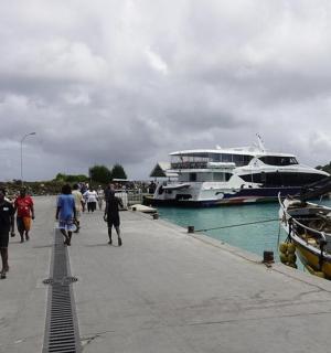 a group of people walking on a dock with boats