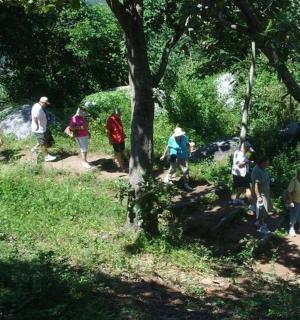 skupina lidí jdoucích po cestě v lese