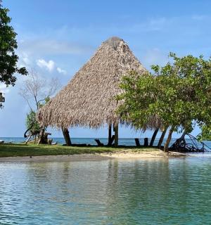 水中小岛上的茅草屋
