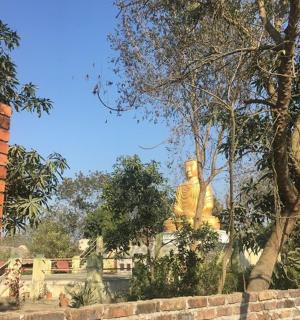 a large golden statue in a park with trees