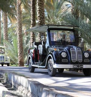 一辆黑色吉普车沿着棕榈树丛生的道路行驶