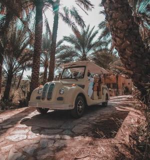 一辆旧卡车沿着棕榈树环绕的土路行驶