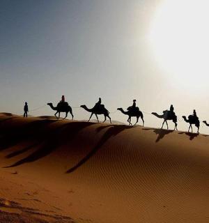 a group of people riding camels in the desert