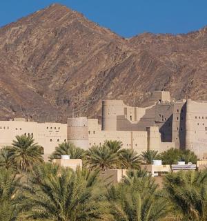 山前有一座长满棕榈树的大楼