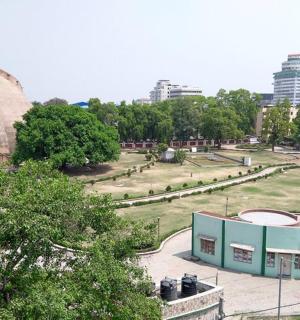 公园和大楼的景色