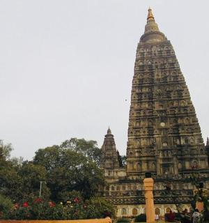 背景为高塔的建筑