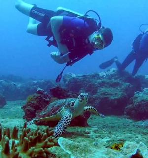two people taking pictures of an octopus in the ocean