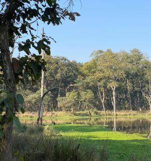 a field of grass next to a body of water