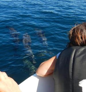 a person taking a picture of a shark in the water