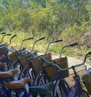a row of bikes parked next to each other