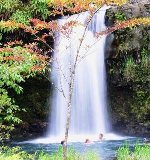 two people in the water in front of a waterfall