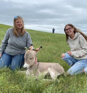 dvě ženy sedící na poli s jehňátkem