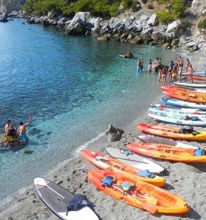 a group of kayaks lined up on a beach