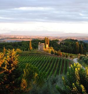 山上的一座带有葡萄园的庄园