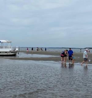 a group of people walking on a beach with a pier