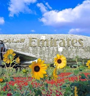 a large building with flowers in front of it