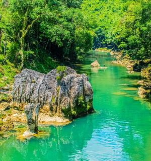 a river with green water and rocks and trees