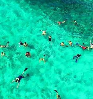 a group of people swimming in the blue water