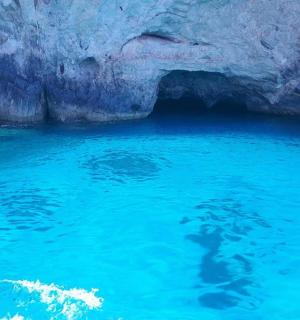 a bear swimming in the water in a cave