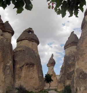 una vista di un castello con alcune torri