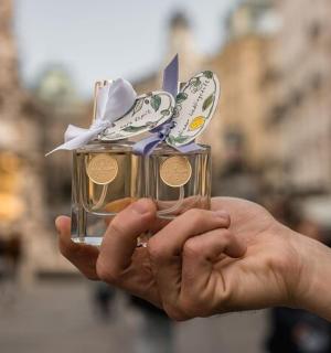 a person holding a box filled with money