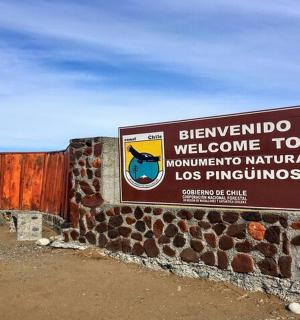 欢迎来到自制天然洛斯犀牛的标志