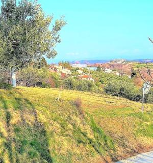 远处有一座长满草的山丘，树丛茂密，还有一座小镇