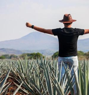 一个戴着帽子的男人站在田野里,张开双臂