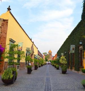 o stradă pietruită într-un oraș vechi cu flori