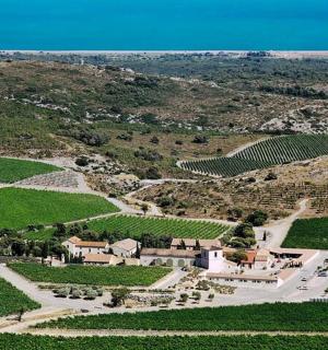 带房屋的葡萄园的鸟瞰图