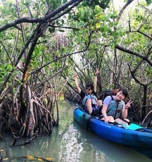 dva lidé v kánoi mangrovovým lesem