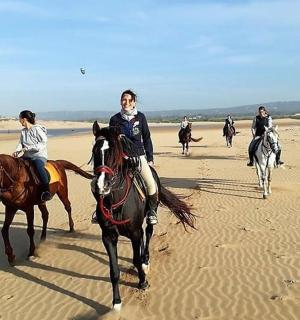 a group of people riding horses on the beach
