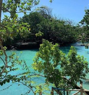 a river with blue water and trees on the side