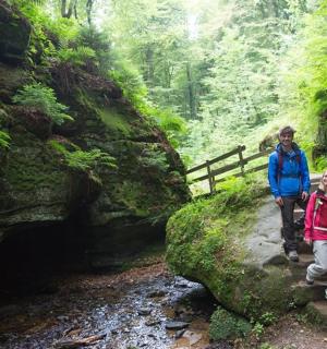 一名男子和一名女子在森林小路上行走