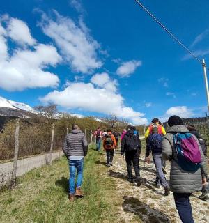 a group of people walking down a path