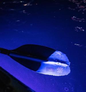 plastový předmět ve vodě vedle lodi