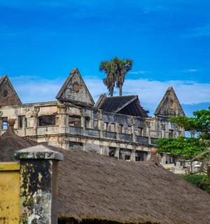 一座以棕榈树为背景的古老建筑