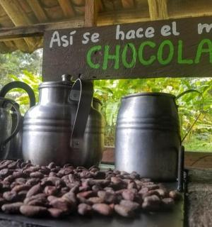 一组三个大金属锅和一些坚果