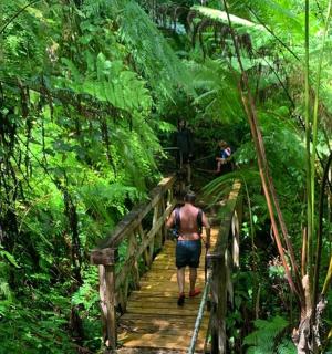 a man walking down a wooden bridge in the forest