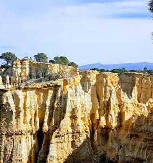 a view of a cliff with trees on it