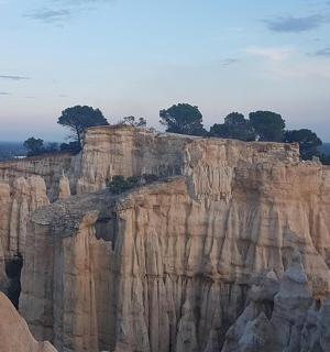 a rock formation with trees on top of it