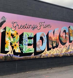 建筑物侧面的壁画，画着花和鸟