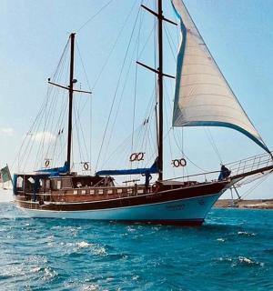 海上一艘挂着大帆的船