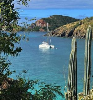 loď ve vodní ploše se dvěma kaktusy