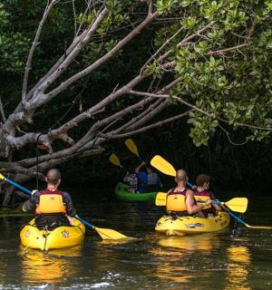 three people in kayaks in the water on a river