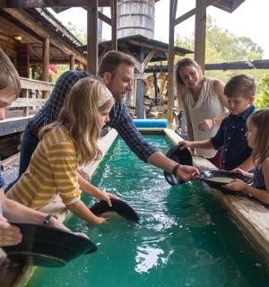 一群人在水池里玩耍