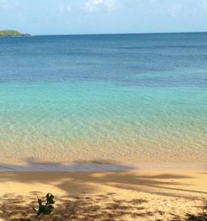 a view of a beach with the ocean